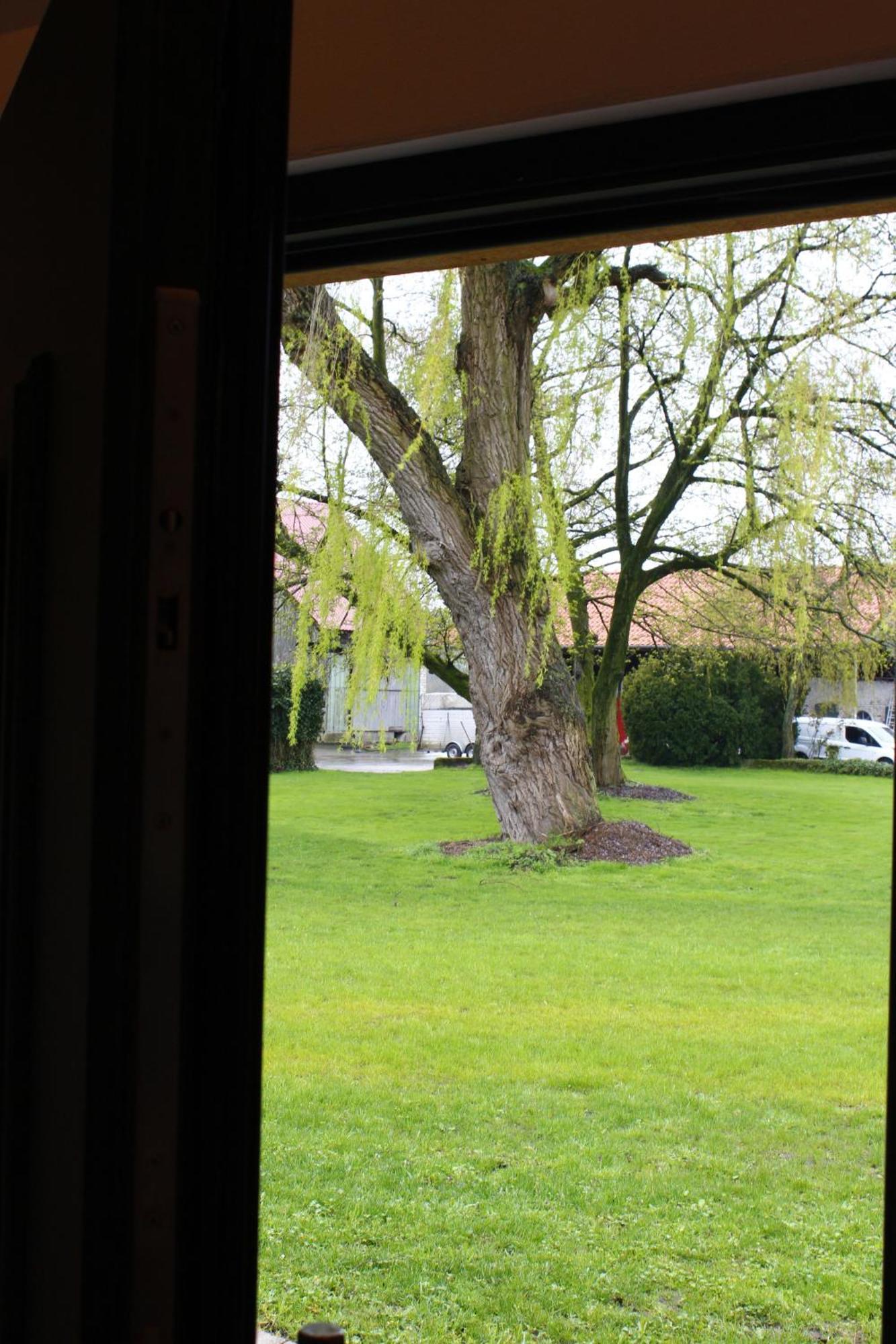 Ferienwohnung Weitblick - Ruhepol In Muensterlaender Parklandschaft Dülmen Exterior foto